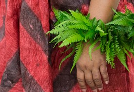 Hawaiian Culture